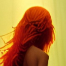 The Fiery Assassin