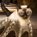 Katmeleonpus